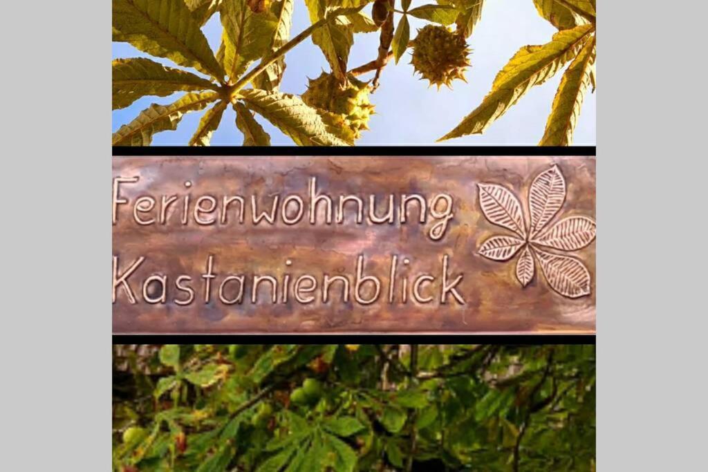 شقة Kastanienblick سانكت اندرياسبرغ المظهر الخارجي الصورة